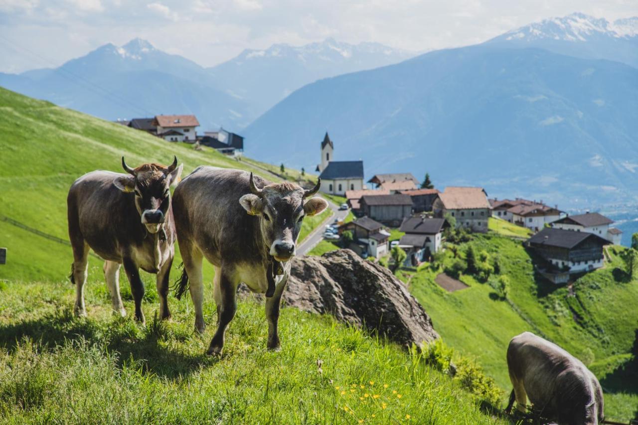 Ferienwohnungen Wiesbauer Scena Exterior foto