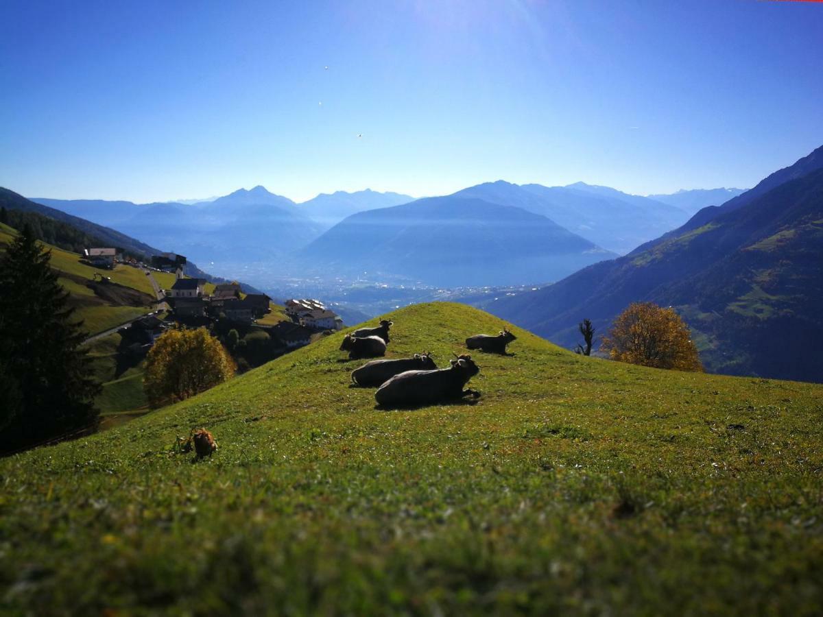 Ferienwohnungen Wiesbauer Scena Exterior foto